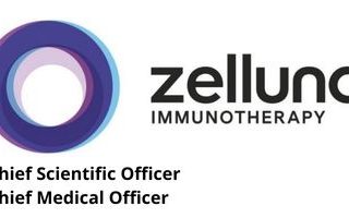 Zelluna Executive Search Appointments